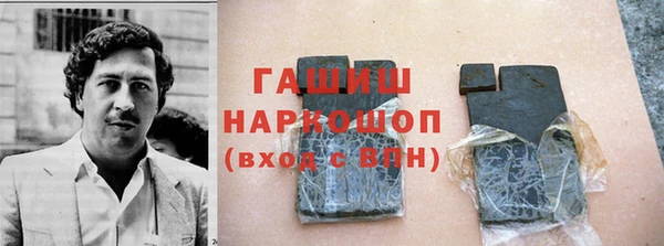 меф Ельня