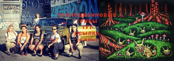 apvp Заволжск