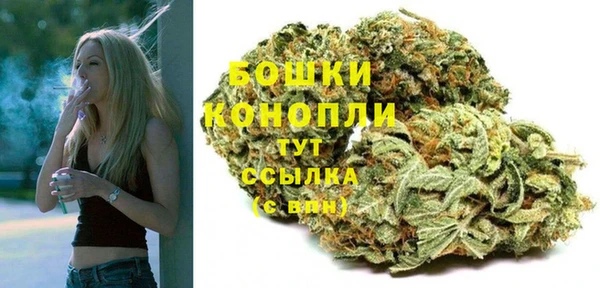меф Ельня