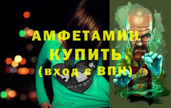 меф Ельня