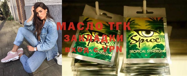 меф Ельня