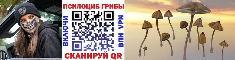 Галлюциногенные грибы Psilocybine cubensis  Купить  Краснокамск 